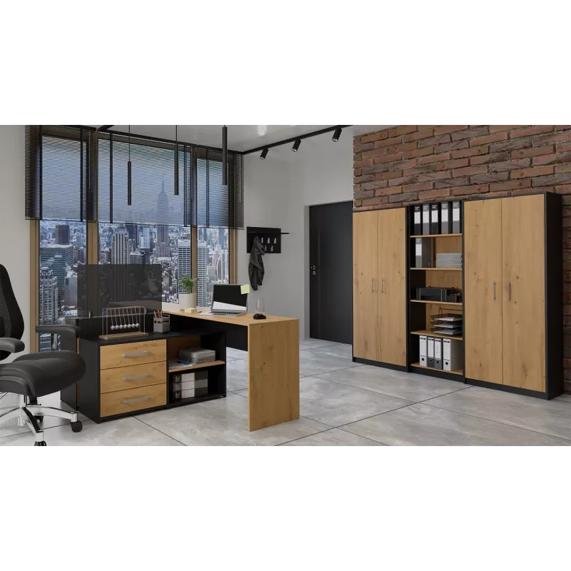 Topeshop OLIV 2D ANT/ART KPL biroja grāmatu skapis