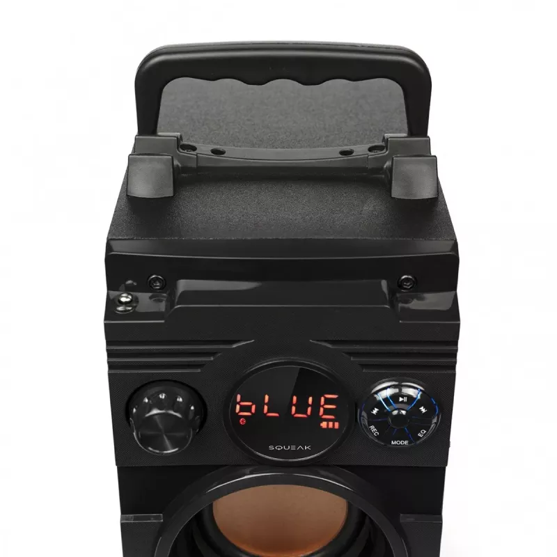 Squeak Bassblaster Bluetooth 5.1 skaļrunis, FM radio, MP3 atskaņotājs SQ1001