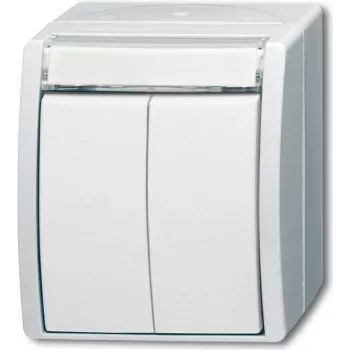 BUSCH JAEGER 1484-0-0379 - Pogas - Balta - IP44 - CE - 74 mm - 55 mm