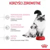Sausā kaķu barība Royal Canin Mother & Babycat 2 kg — vista, grūsnām, laktējošām kaķenēm un kaķēniem (Junioriem)