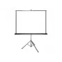 Projekcijas ekrāns Grandview GV103005