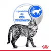Mitrā kaķu barība Royal Canin Indoor Sterilized 85 g paciņa — pieaugušiem kastrētiem iekštelpu kaķiem, mājputnu garšas, iepakojumā 12 x 85 g