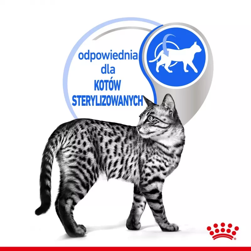 Mitrā kaķu barība Royal Canin Indoor Sterilized 85 g paciņa — pieaugušiem kastrētiem iekštelpu kaķiem, mājputnu garšas, iepakojumā 12 x 85 g