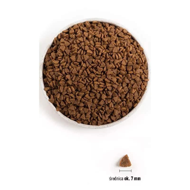 ACANA First Feast - sausā barība kaķiem - 1,8 kg