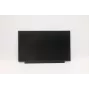 Lenovo 02HL701 13,3 collu HD TN LCD panelis, pretatspīdumu pārklājums, 250 cd/m²
