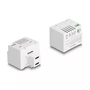 DeLOCK Keystone Module 41479 2 x USB Type-C PD 20W balta