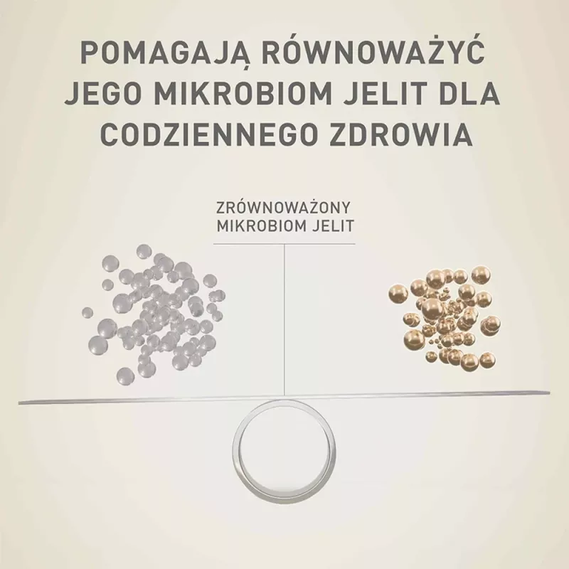 Sausā suņu barība Purina Nestlé One Mini/Small Sensitive Salmon & Rice 800 g – mazo šķirņu (5–10 kg), senioriem, 27% olbaltumvielu, 17% tauku