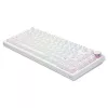Savio ASTRAL WHITE JADE tastatūra Gaming USB QWERTY US International