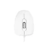 MODECOM M10 M-MC-0M10-200 pele (optiskā, 1000 DPI, balta krāsa) (M-MC-0M10-200)
