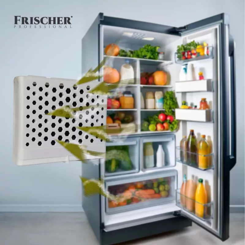 Frischer ledusskapja smaku absorbents