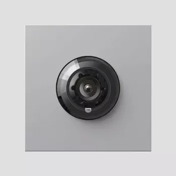 Siedle 210012160-00 Sudraba