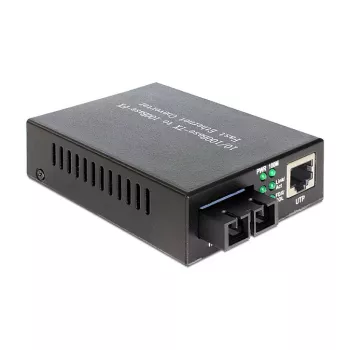 Tīkla multivides pārveidotājs DeLOCK 86215