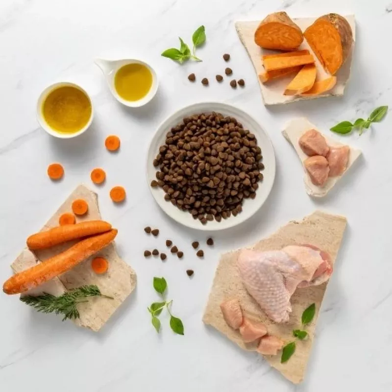 RAW PALEO Ultra Medium&Large Adult Turkey - sauso suņu barība - 10 kg