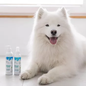 Kondicionieris VETEXPERT Clinic Care Balance 150 ml — veterinārais apmatojuma kondicionieris suņiem un kaķiem, 150 ml