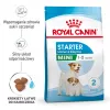 Sausā suņu barība Royal Canin Starter Mother & Babydog 1 kg — vistas garša, 30% olbaltumvielu, 22% tauku