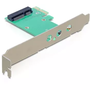 Saskarnes karte DeLOCK 89294