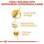 Sausā kaķu barība Royal Canin Sphynx Adult 2 kg — cūkgaļas garša, 33% olbaltumvielu, 23% tauku