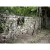 Ūdens šļūtene Karcher Plus 1/2- 50M
