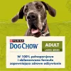 Purina DOG CHOW lielo šķirņu pieaugušiem suņiem 14 kg Turcija