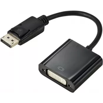 Renkforce RF-5771774 DisplayPort / DVI adapteris [1x DisplayPort spraudnis - 1x DVI ligzda 24+5 kont.] Melns PVC apvalks 15 cm (RF-5771774)