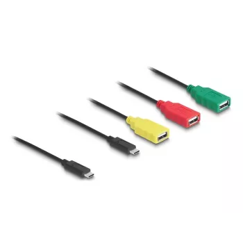 DeLOCK 4 portu USB 2.0 kabeļa centrmezgls USB Type-C uz 3 x USB-A sievišķā + 1 x USB-C vīrišķā