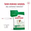 Sausā suņu barība Royal Canin Adult Mini S 8 kg — pilnvērtīgs uzturs maziem pieaugušiem suņiem