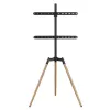 TV statīva piederumu grīdas statīvs 32-65/TRIPOD TVS-65S-01 Gembird