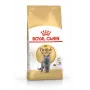 Sausā kaķu barība Royal Canin British Shorthair Adult 10 kg — mājputnu gaļa, olbaltumvielas 34%, tauki 19%