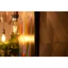 Viedā spuldze Shelly Vintage ST64 Wi-Fi caurspīdīga 230V