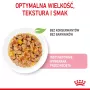Mitrā kaķēnu barība Royal Canin Kitten Jelly 85 g — vistas garša, 85 g paciņa, 12 gab.