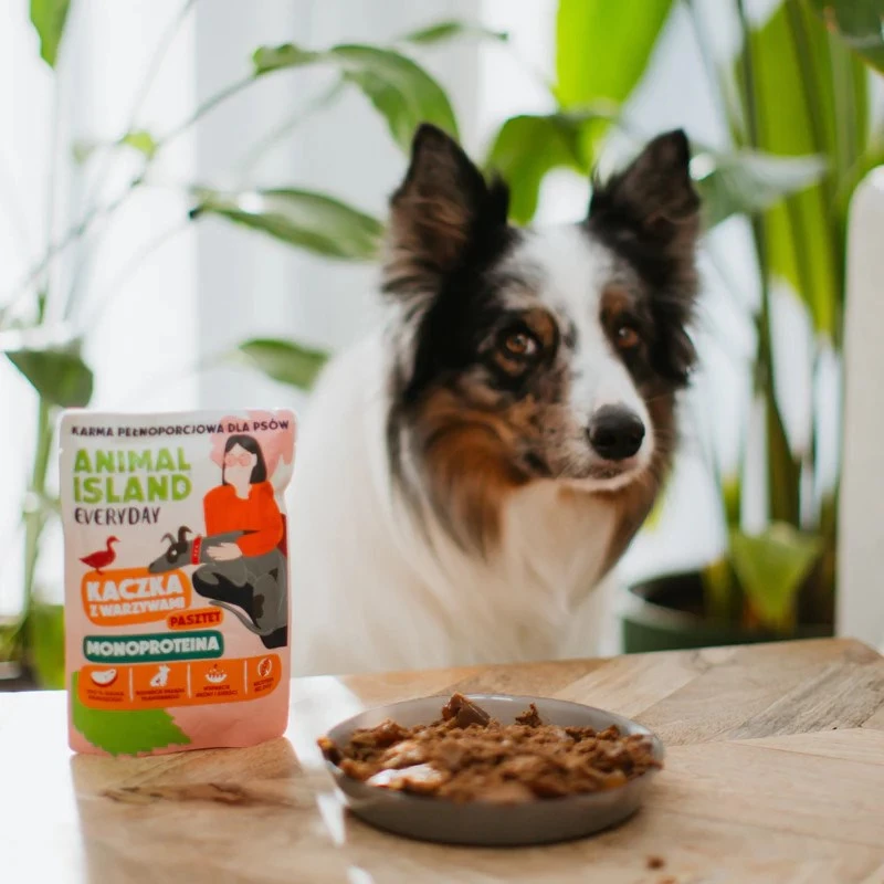 ANIMAL ISLAND Mono-Protein Duck for Dogs 300g