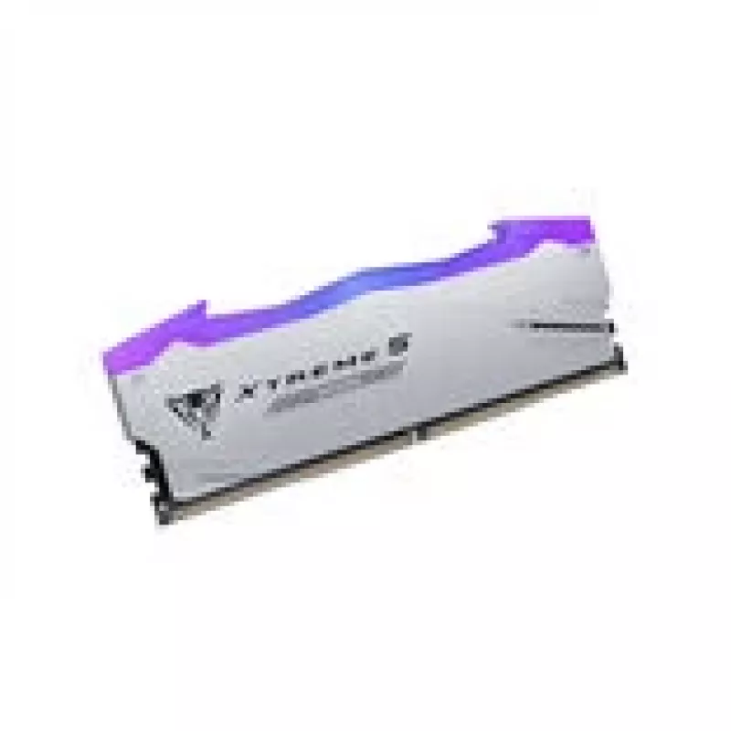 Patriot Viper Gaming RGB XTREME 5 DDR5-8000 RAM, CL 38, Intel XMP 3.0 - 48GB Dual-Kit, Sudraba