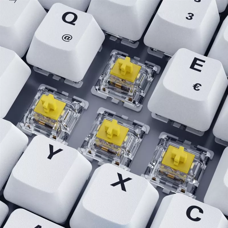 Sharkoon SKILLER SGK50 S3 PBT tastatūra Gaming USB QWERTZ vācu, balta