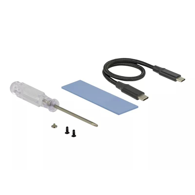 Interfeisa karte DeLOCK 42600 USB 3.2 Gen 1