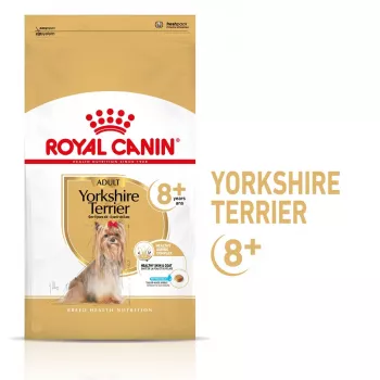 Sausā suņu barība Royal Canin Yorkshire Terrier 8+ 3 kg — mājputnu gaļa, vecāka gadagājuma Jorkšīras terjeriem, olbaltumvielas 29%, tauki 18%