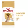Sausā suņu barība Royal Canin Yorkshire Terrier 8+ 3 kg — mājputnu gaļa, vecāka gadagājuma Jorkšīras terjeriem, olbaltumvielas 29%, tauki 18%