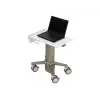 Klēpjdatora statīvs Ergotron C50-1100-0 Pelēks 39.6 cm