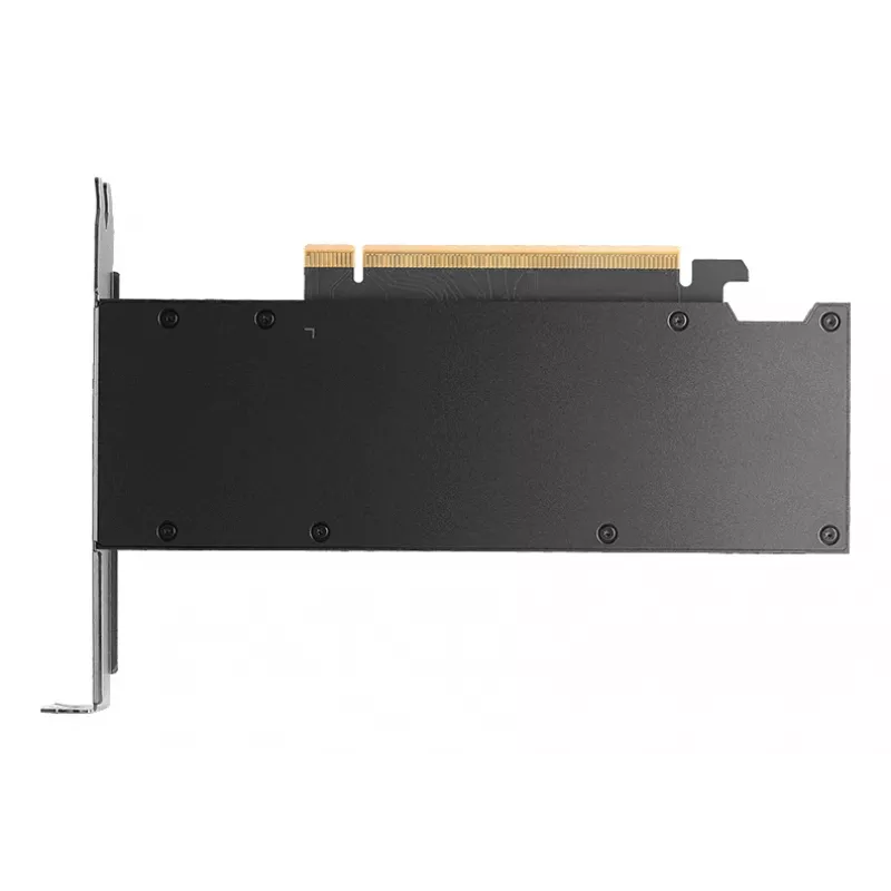 Grafikas karte NVIDIA RTX PRO 2000 16 GB GDDR7