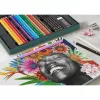 Eļļas bāzes zīmuļu komplekts Faber-Castell Polychromos & Pitt Graphite Matt, 48 gab., daudzkrāsains