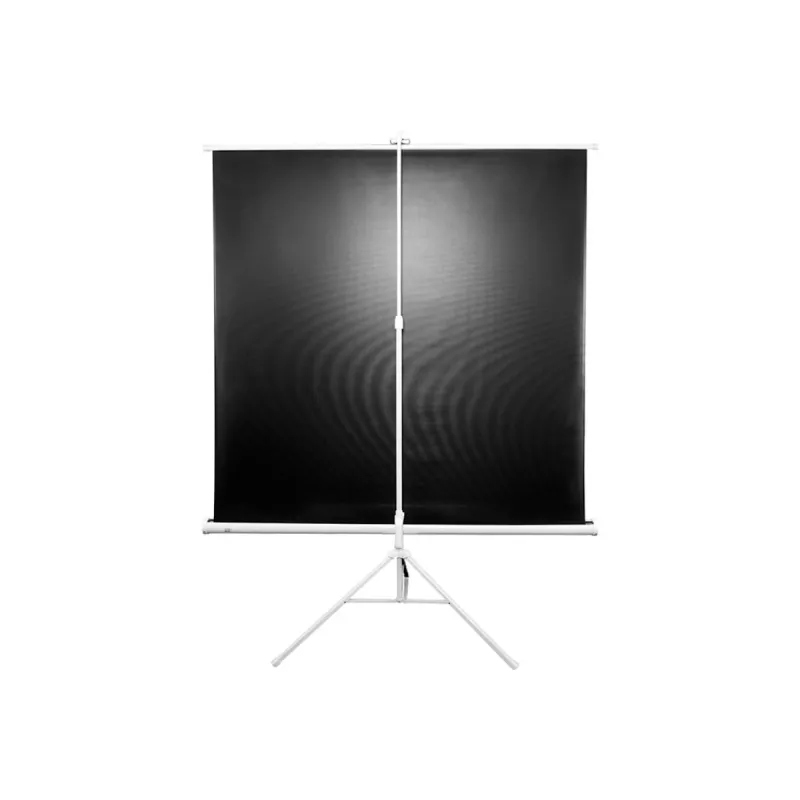 Statīva projekcijas ekrāns Elite Screens T120NWV1 3,05 m 4:3