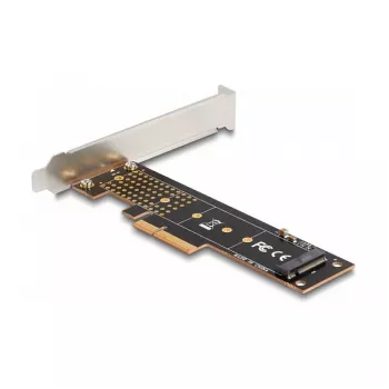 DeLOCK PCI Express x4 karte uz 1 iekšējo NVMe M.2 Key M 110 mm Low Profile