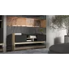 Cama RTV PORTO 2D Skapis 150x38x50 ozols/melns