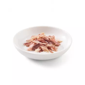 SCHESIR Tunzivs ar liellopa gaļu želejā - mitrā kaķu barība - 85g