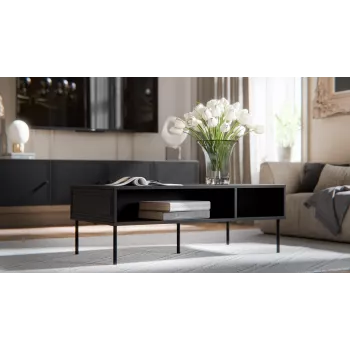 Cama PALAZZO BIS table/latrine 110x60x40 matēts melns