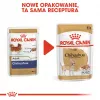 Mitrā suņu barība Royal Canin Chihuahua Adult paciņa 85 g — mājputnu gaļa, pieaugušiem čivavas 1–1.9 kg