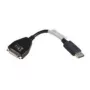 Lenovo 43N9160 DVI-D DisplayPort Melns