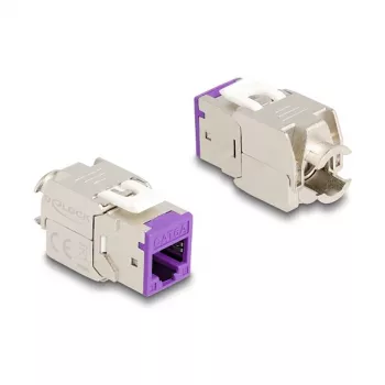 DeLOCK keystone modulis 88121 Plakans violets RJ-45 10 gab.