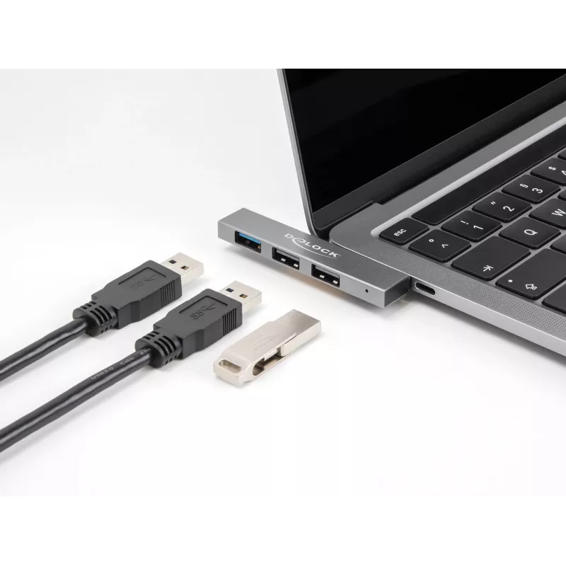 DeLOCK 3 portu plāns USB centrmezgls USB Type-C 10 Gbps 2 x USB 2.0