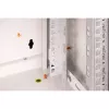 DIGITUS® 7HE sienas skapis - pelēks, RAL 7035 - 48,3 cm (19) (DN-19 07-U)