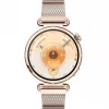 Viedpulkstenis HUAWEI WATCH GT6 1,32 collu AMOLED, 41 mm, nerūsējošais tērauds, zelts, milānas aproce, IP69, 14 dienu baterija